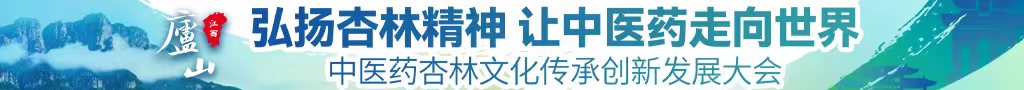 91中文字幕欧美一区二区中医药杏林文化传承创新发展大会